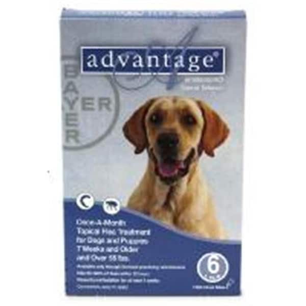 Bayer Bayer ADVANTAGE6-BLUE Advantage 6 Pack Dog 55 Lbs. & Up - Blue - ADVANTAGE6-BLUE