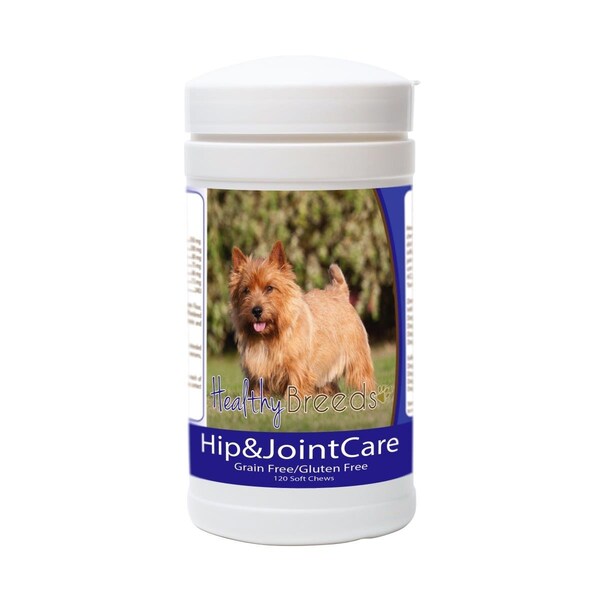 Pamperedpets Norwich Terrier Hip and Joint Care - PA3495365