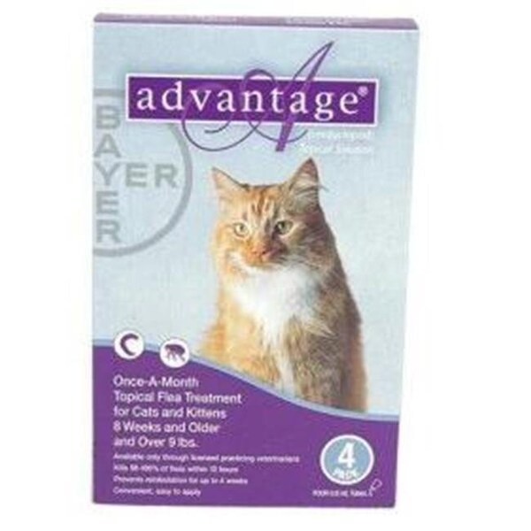 Bayer Bayer ADVANTAGE4-PURPLE Advantage 4 Pack Cat 9 Lbs. & Up - Purple - ADVANTAGE4-PURPLE