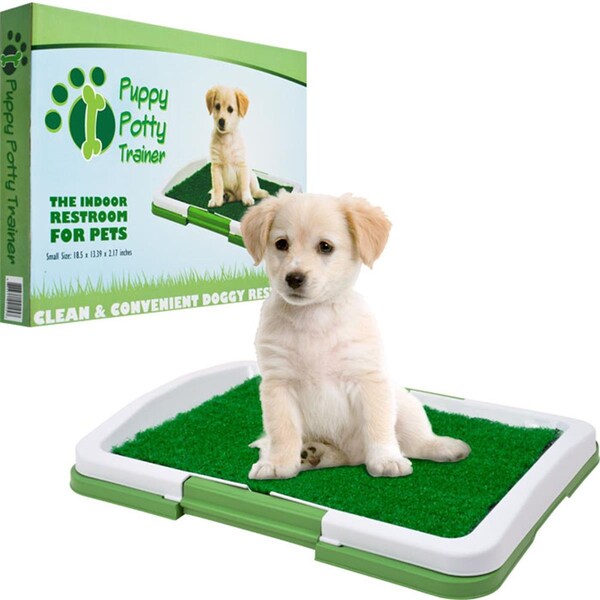 Daretocare PAWT Puppy Potty Trainer - The Indoor Restroom for Pets - DA3291124