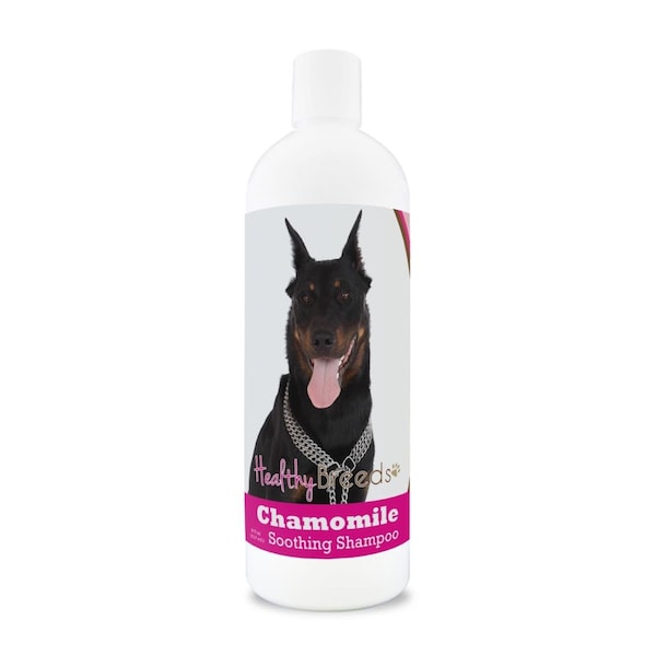 Healthy Breeds 8 oz Beauceron Chamomile Soothing Dog Shampoo - 192959000092