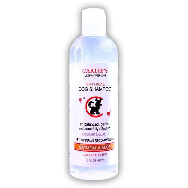Scoochie Pet Products 16 oz Oatmeal  Aloe Shampoo - 121