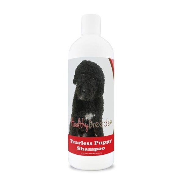 Healthy Breeds Healthy Breeds 840235186199 Spanish Water Dog Tearless Puppy Dog Shampoo - 840235186199