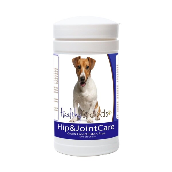 Pamperedpets Jack Russell Terrier Hip and Joint Care - PA3491711