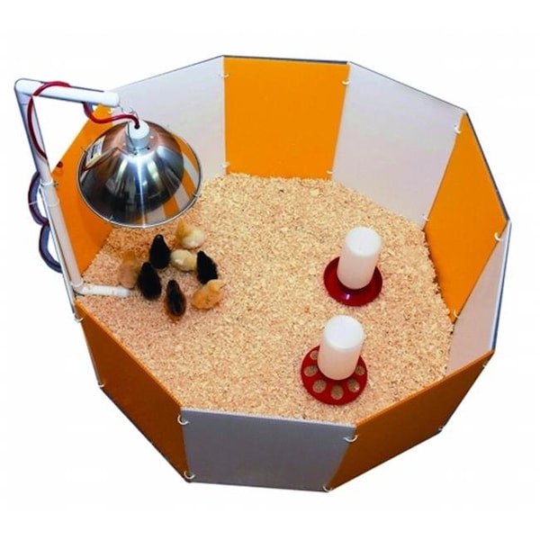 Peticare Baby Chick Starter Home Orange & White 3700 - PE45001