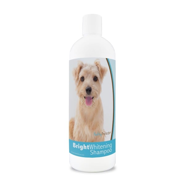 Healthy Breeds 12 oz Norfolk Terrier Bright Whitening Shampoo - 840235174189