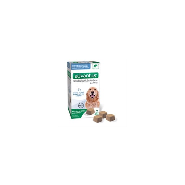 Elanco Us Advantus Soft Chew Flea Treatment for Dogs 23-110-Lbs. 7 Doses - 85274414