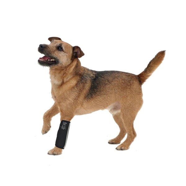 Petpurifiers Extreme-Neoprene Joint Protective Reflective Pet Sleeves- Black - Medium - PE3175057