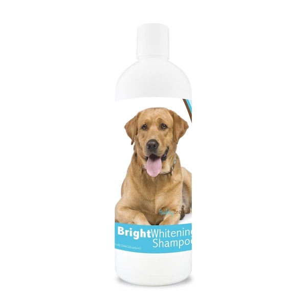Healthy Breeds 12 oz Labrador Retriever Bright Whitening Shampoo - 840235109617
