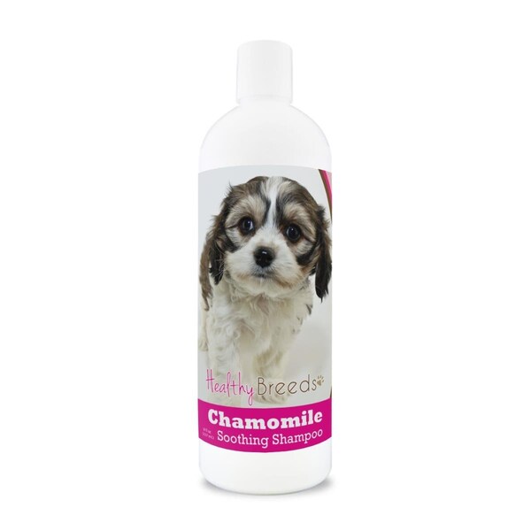 Healthy Breeds 8 oz Cavachon Chamomile Soothing Dog Shampoo - 192959000061