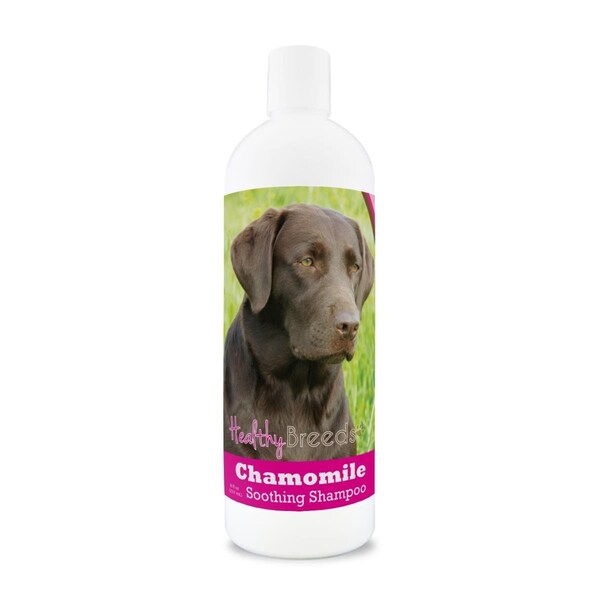 Healthy Breeds Labrador Retriever Chamomile Soothing Dog Shampoo - 840235161585