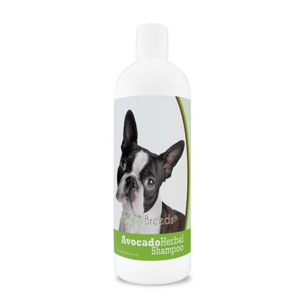 Healthy Breeds Healthy Breeds 840235156819 Boston Terrier Avocado Herbal Dog Shampoo - 840235156819