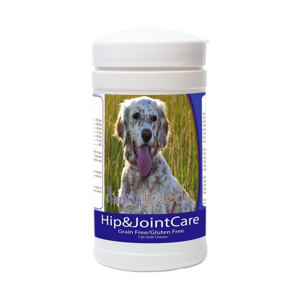 Healthy Breeds English Setter Hip and Joint Care - 840235153856