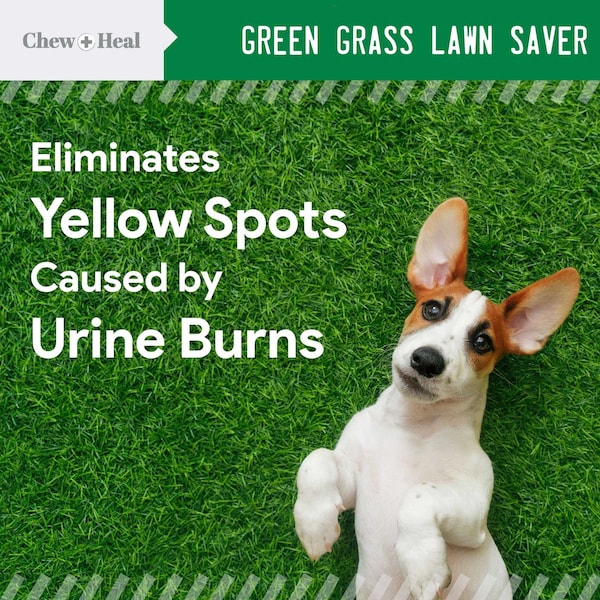 Chew + Heal Lawn Saver - 120 Chews - CH-38291