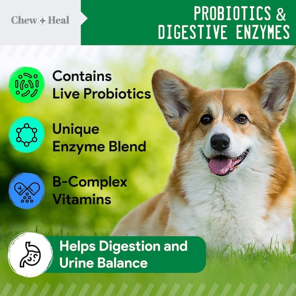 Chew + Heal Lawn Saver - 120 Chews - CH-38291