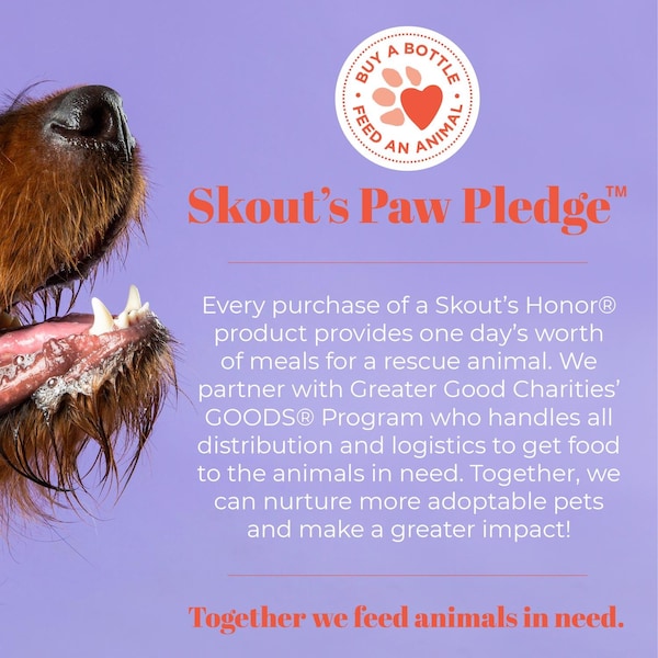 Skouts Honor Honeysuckle Cat/Dog Shampoo and Conditioner 16 oz - SH17SCHS16