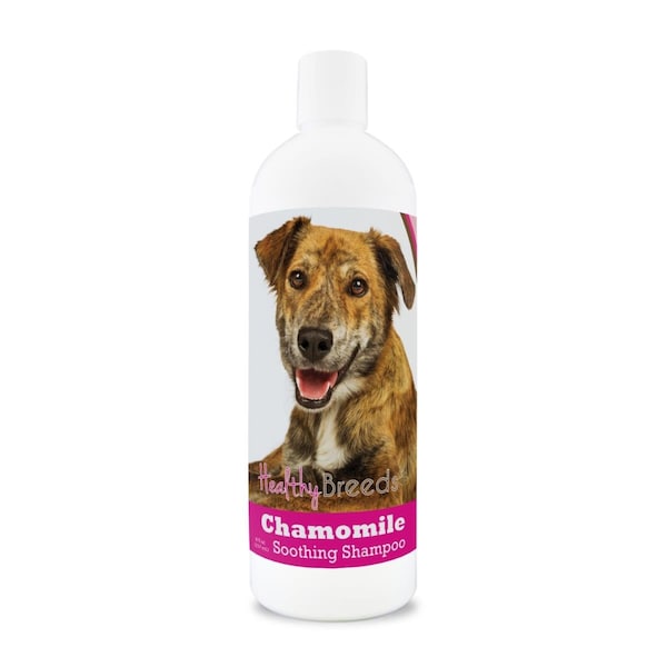 Healthy Breeds 8 oz Plott Chamomile Soothing Dog Shampoo - 192959000498