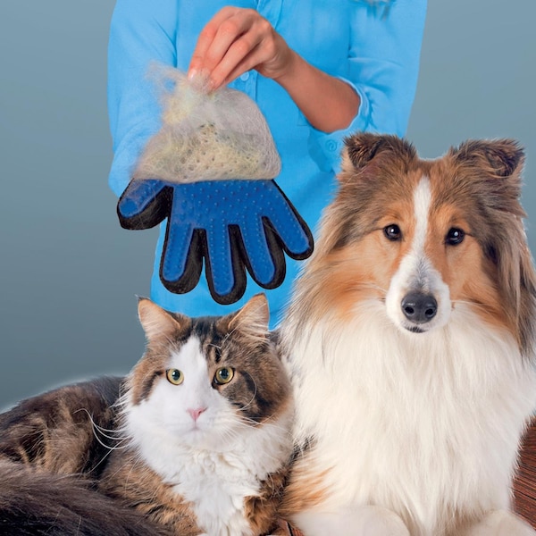 True Touch True Touch As Seen On TV Blue Cat/Dog Grooming Mitt 1 pk - TU011124