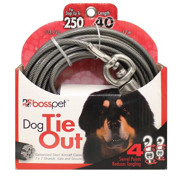 Pdq PDQ Silver Tie-Out Vinyl Coated Cable Dog Tie Out X-Large - Q684000099