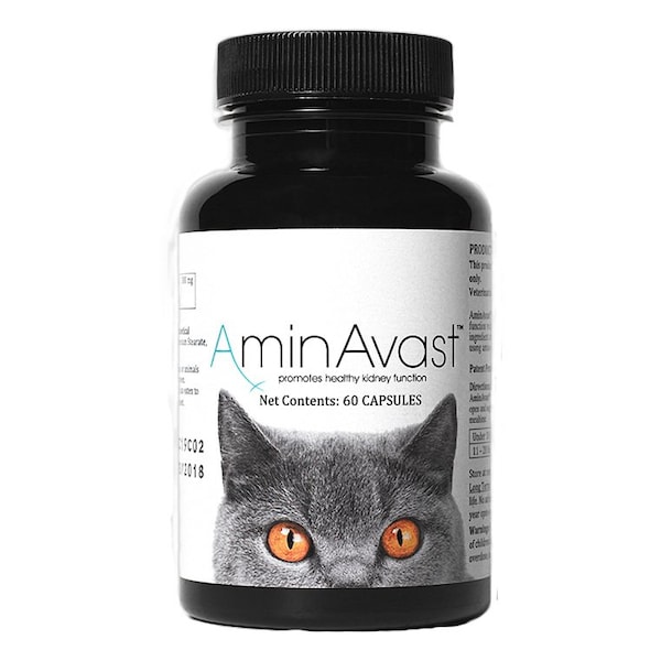 Aminavast Phv, feline, 300mg, 60PK - 48993
