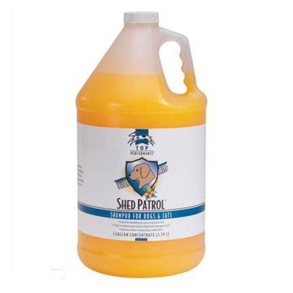 Pamperedpets Top Performance Soothing Suds Shampoo Gallon Gallon - PA3671398