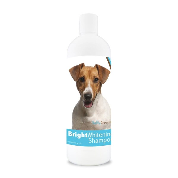 Healthy Breeds 12 oz Jack Russell Terrier Bright Whitening Shampoo - 840235117582