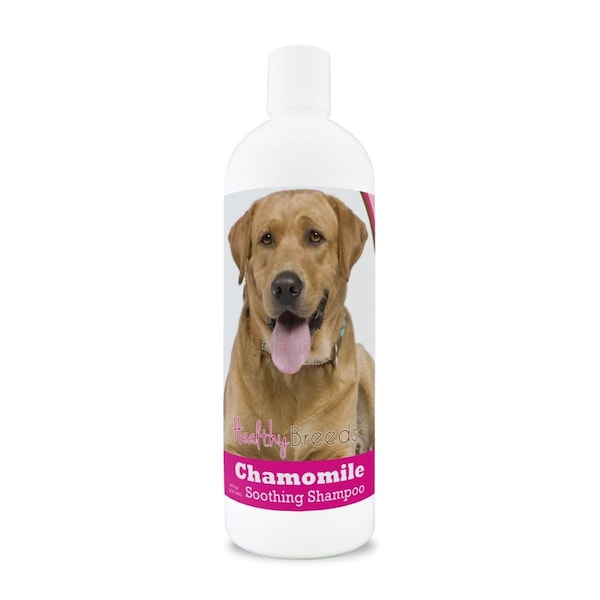 Healthy Breeds 8 oz Labrador Retriever Chamomile Soothing Dog Shampoo - 840235199403