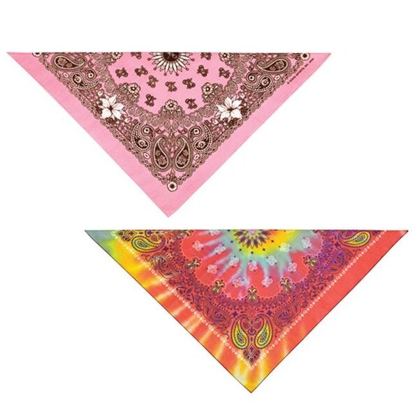 Petedge Paisley 22 x 22 In Bandana Hot Pink - ZX022 75