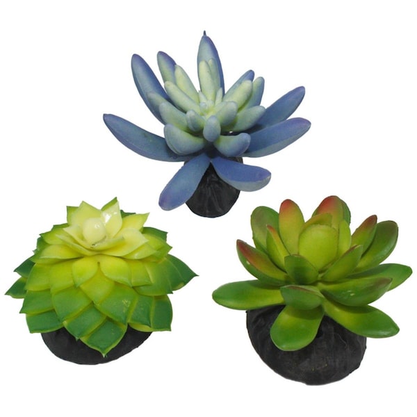 Multipet Komodo Desert Succulent Plant - Blue & Green, 3PK - 784369933093