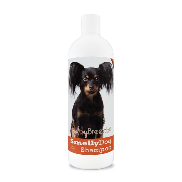 Healthy Breeds 8 oz Russian Toy Terrier Smelly Dog Baking Soda Shampoo - 192959001518