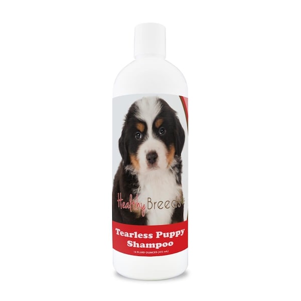 Pamperedpets Bernese Mountain Dog Tearless Puppy Dog Shampoo - PA3492000