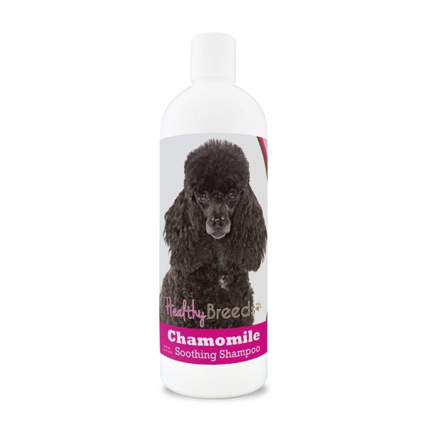Healthy Breeds 8 oz Poodle Chamomile Soothing Dog Shampoo - 192959000658