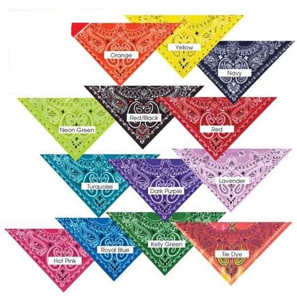 Petedge Top Performance Paisley Dog Bandanas; Light Green - ZX022 432