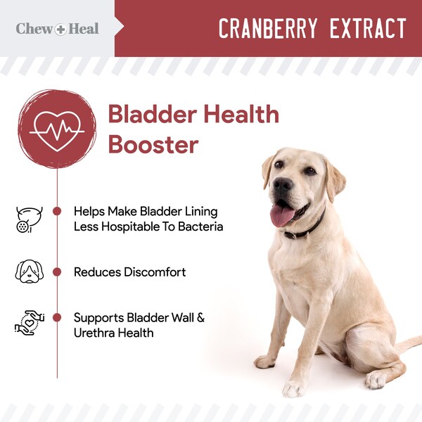 Chew + Heal Cranberry UTI Protection - 120 Chews - CH-CRANBERRY-120