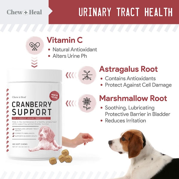 Chew + Heal Cranberry UTI Protection - 120 Chews - CH-CRANBERRY-120