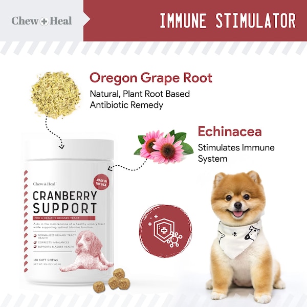 Chew + Heal Cranberry UTI Protection - 120 Chews - CH-CRANBERRY-120
