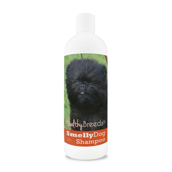Pamperedpets Affenpinscher Smelly Dog Baking Soda Shampoo 8 oz - PA3492009