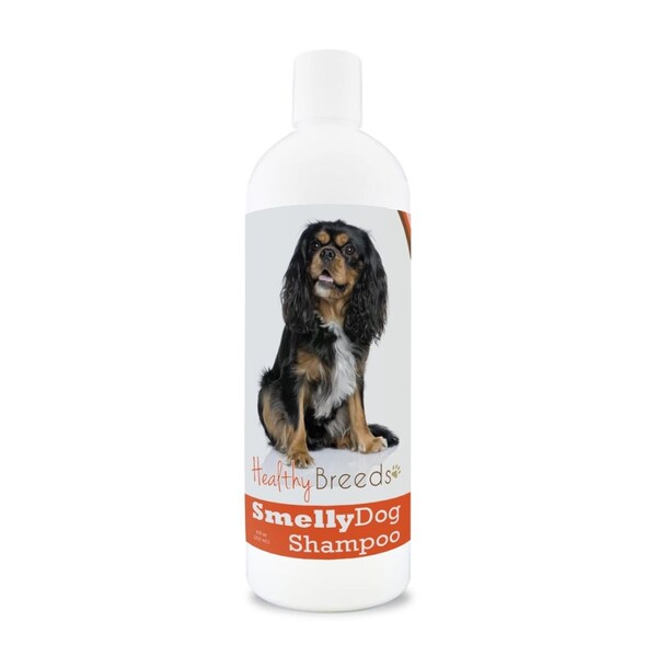 Pamperedpets Cavalier King Charles Spaniel Smelly Dog Baking Soda Shampoo - PA3487184