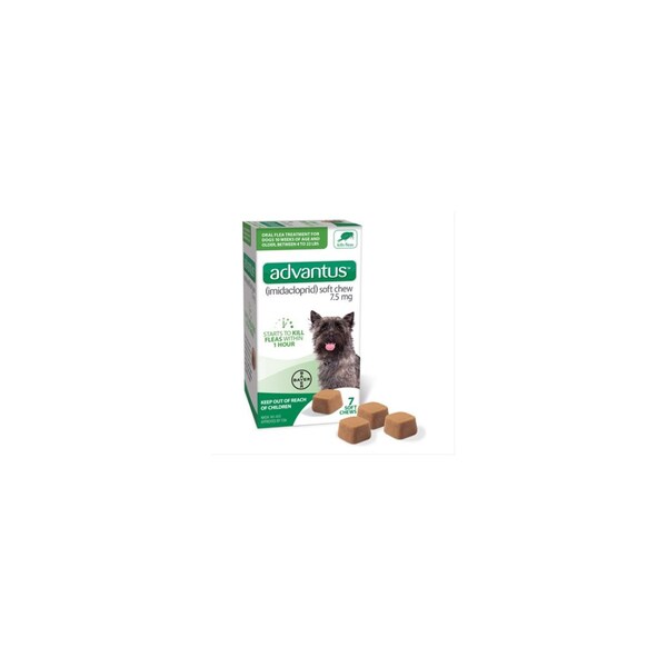 Elanco Us Advantus Soft Chew Flea Treatment for Dogs 4-22-Lbs. 7 Doses - 85274341