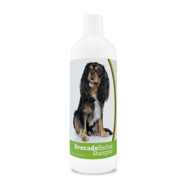 Pamperedpets Cavalier King Charles Spaniel Avocado Herbal Dog Shampoo - PA3495383