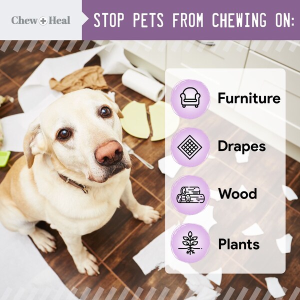 Chew + Heal No Chew Spray - 8oz - CH-38538