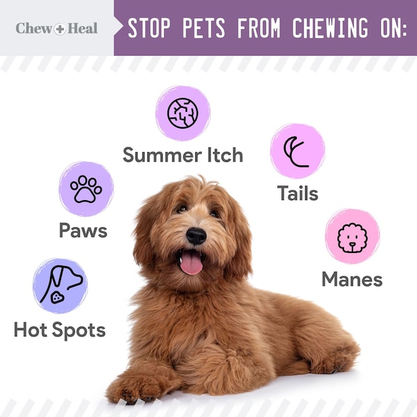 Chew + Heal No Chew Spray - 8oz - CH-38538