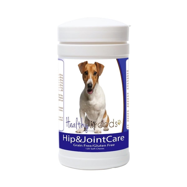 Healthy Breeds Jack Russell Terrier Hip and Joint Care - 840235153757