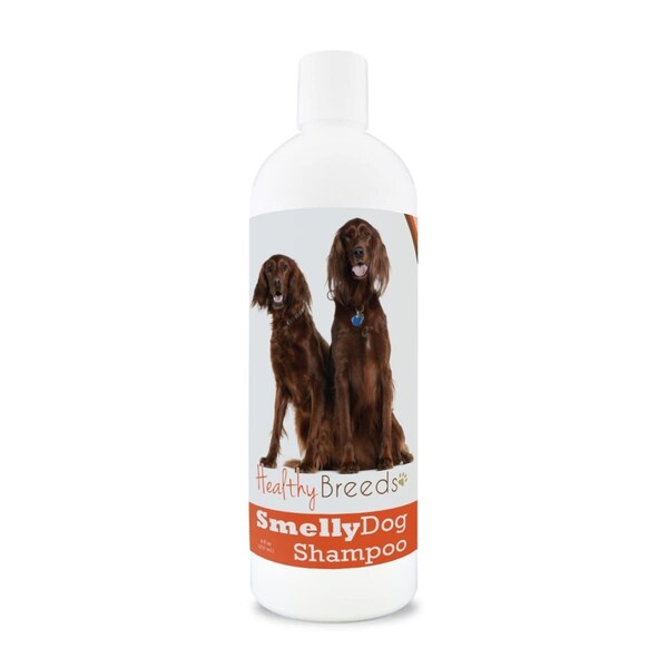 Pamperedpets Irish Setter Smelly Dog Baking Soda Shampoo - PA3487545