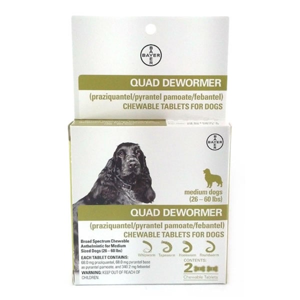Bayer Healthcare 26-60 lbs Bayer Quad Dewormer for Medium Dogs - 2 Chew Tabs - BY11336