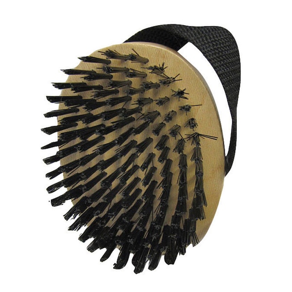 Aloe Care Aloe Care Black/Yellow Dog Glossing Brush 1 pk - A06860