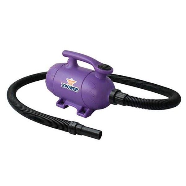 Xpower XPOWER Manufacture B-2-Purple 2 HP Pro at Home Pet Grooming Force Dryer & Vacuum; Purple - B-2-GREEN