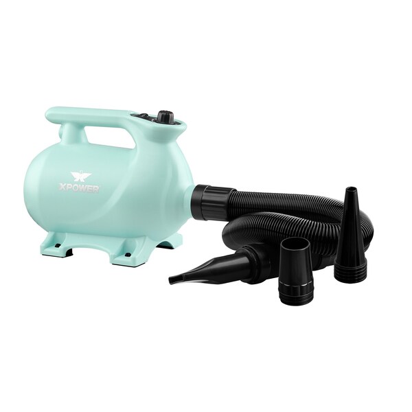 Xpower High Velocity Variable Speed Pet Dryer with 2-Stage Heat Settings - Mint Green - B-123-MINT-GREEN