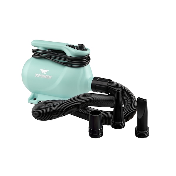 Xpower High Velocity Variable Speed Pet Dryer with 2-Stage Heat Settings - Mint Green - B-123-MINT-GREEN