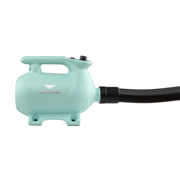 Xpower High Velocity Variable Speed Pet Dryer with 2-Stage Heat Settings - Mint Green - B-123-MINT-GREEN